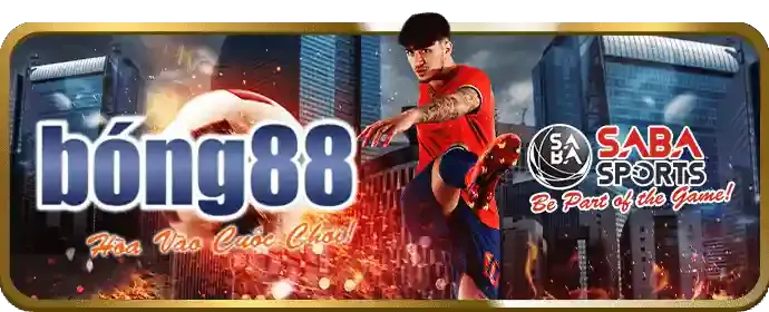 Biểu đồ phân tích dữ liệu thể thao, hỗ trợ cá cược
